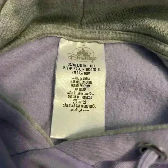 Disney Parks hoodie - Picture 4 of 5